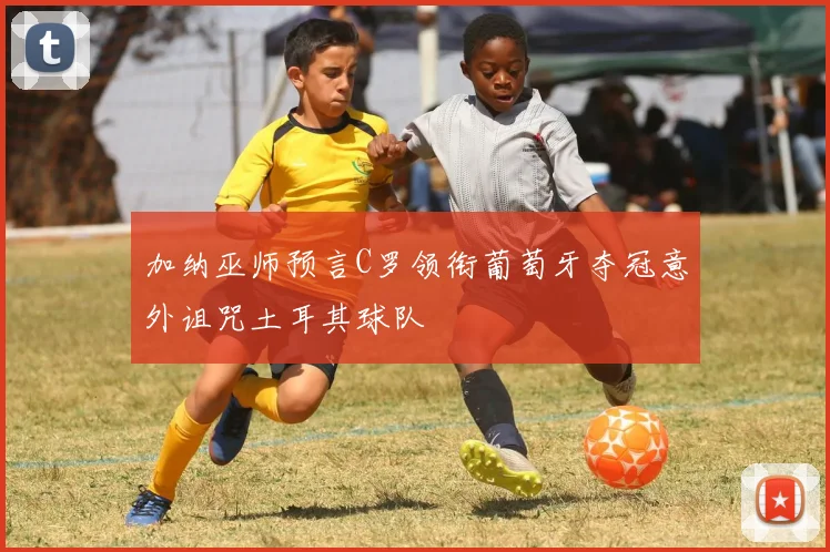 加纳巫师预言C罗领衔葡萄牙夺冠意外诅咒土耳其球队